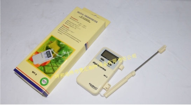 数字插入式温度计WT-2